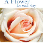 A Flower for each day – ENG. (Wall-Format)